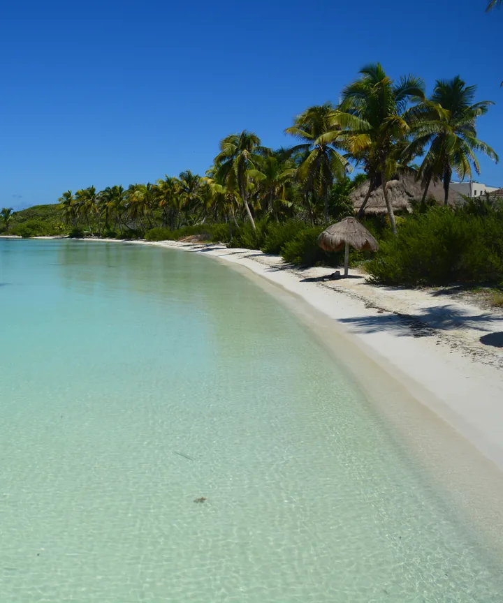 White sand beach and calm turquoise water in the Caribbean near Isla Mujeres