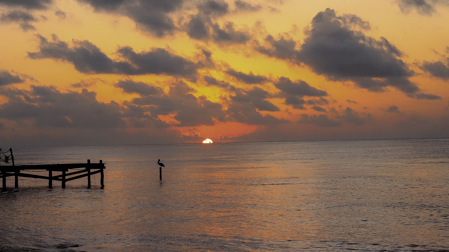 Golden sky over the sea in Los Cabos, with a wooden pier and a pelican perched on a post